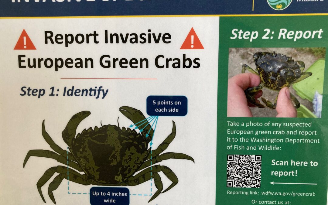 Invasive species alert sign