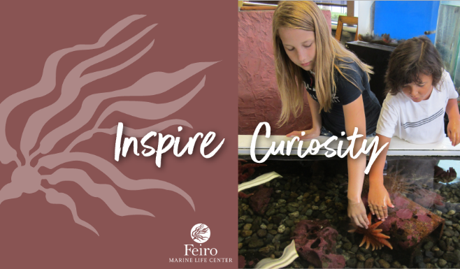 two children touching a sea star with text that reads inspire curiosity